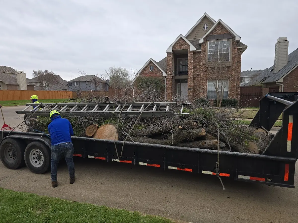 Expert Tree Fertilization with proper safety equipment in Hydaburg